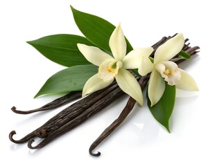 vanilla flower with pods and leaves isolated on white Background