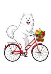 Funny Cartoon Dogs Collection | Vector-Style PNGs on White Background