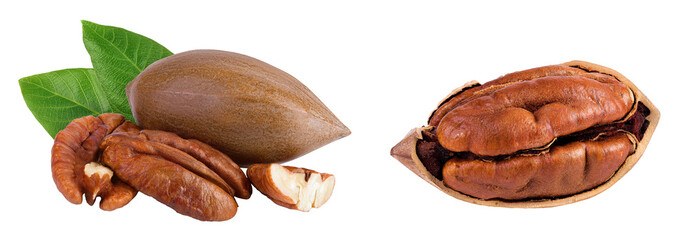 broken pecan nut isolated on white background with full depth of field