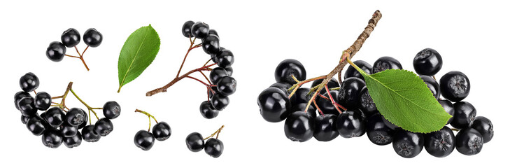 Chokeberry with leaf isolated on white background. Black aronia. Top view. Flat lay