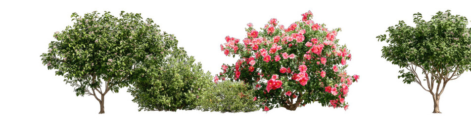 Lush greenery, trees and bushes