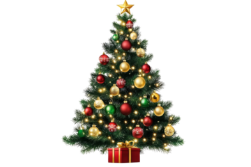 Decorated christmas tree with ornaments and lights- PNG style- transparent background for festive holiday designs