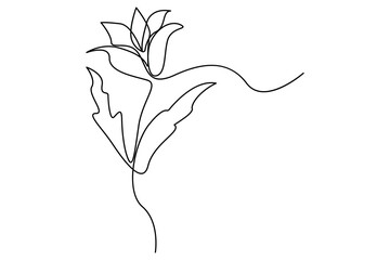 Minimalist continuous line art of botanical leaf elements hand drawn in black and white for nature inspired vector illustration