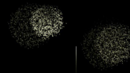 A joyful 21st birthday animation with dazzling fireworks in the background, perfect for parties, milestones, and festive celebration visuals.