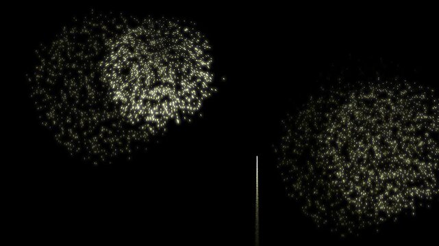 A joyful 21st birthday animation with dazzling fireworks in the background, perfect for parties, milestones, and festive celebration visuals.