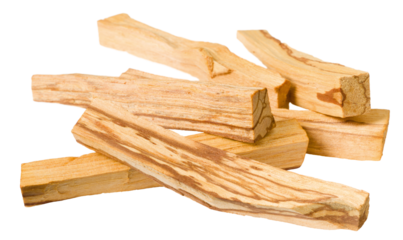 Palo Santo wood sticks isolated on white background.
