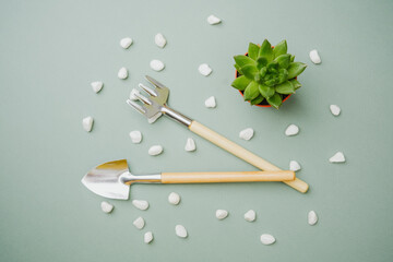 Small plant with garden tools and pebbles on a simple background