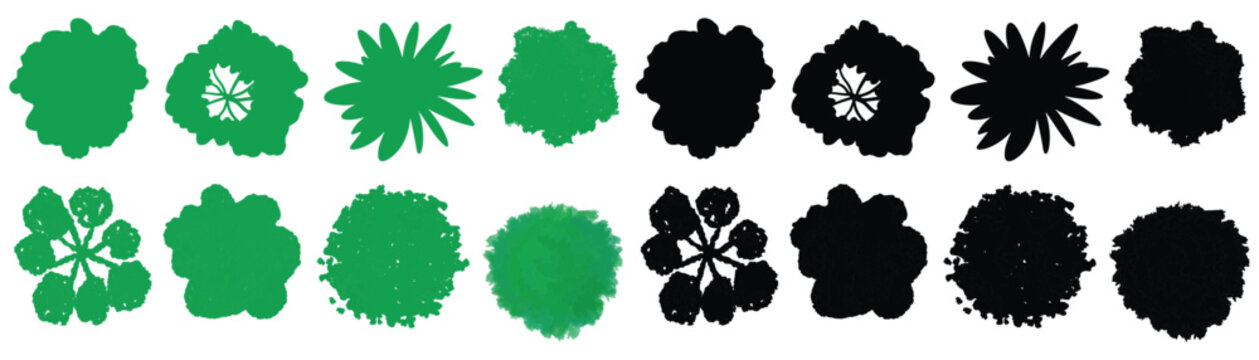 Tree top view line illustration. Vector set of blooming green tree isolated on white for landscape plan and architecture drawing, botanical elements for environment and garden flowers spring. Leaf ske