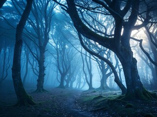 Misty Blue Forest Path Tall Trees and Mossy Ground Nature Woods Woodland