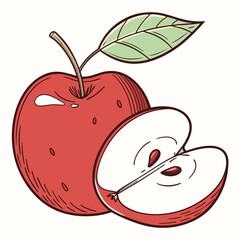 Fresh red apple with a slice drawing style