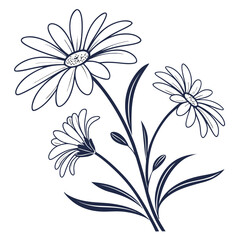 Beautiful daisies with green leaves