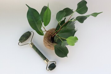 Jade face massage roller next to green plant – symbol of natural skincare, relaxation and...