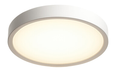 Smart LED ceiling light with app control and adjustable brightness