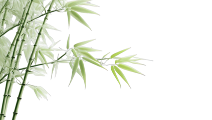 Close-up of stylized bamboo foliage