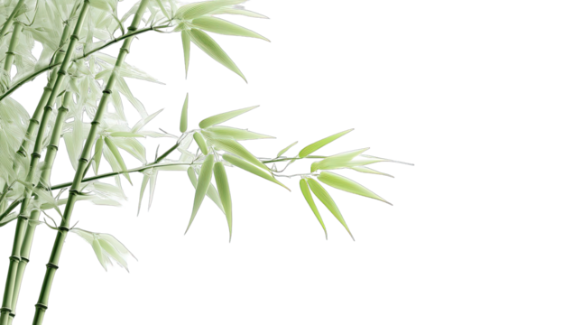 Close-up of stylized bamboo foliage