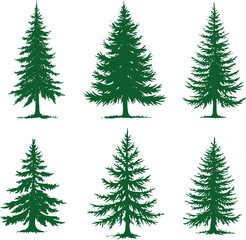 christmas trees vector illustration