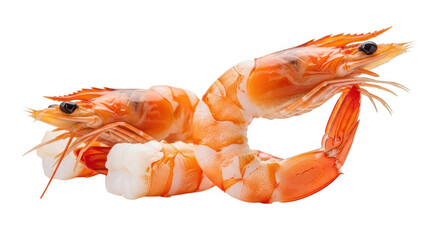 Fresh raw shrimp isolated on transparent background