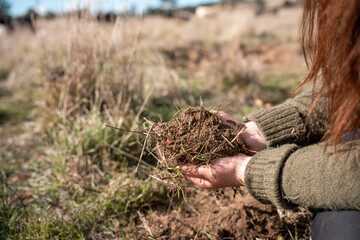 female farmer on a farm. women in agriculture working hard in stock yards herding cattle to weigh cows. organic and free range livestock sustainable ranch, grown on a farm in tasmania Australia.