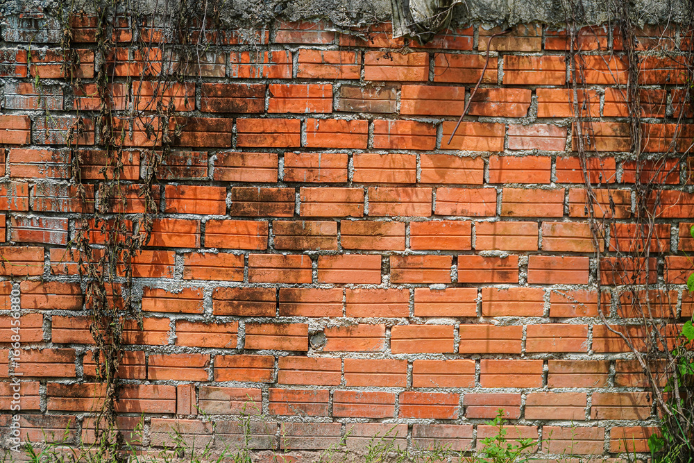 Poster a weathered brick wall backdrop creates a sense of aged beauty and rustic charm. vines add a touch o