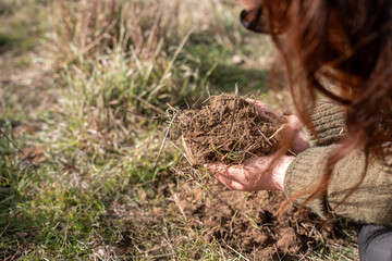 female farmer on a farm. women in agriculture working hard in stock yards herding cattle to weigh cows. organic and free range livestock sustainable ranch, grown on a farm in tasmania Australia.