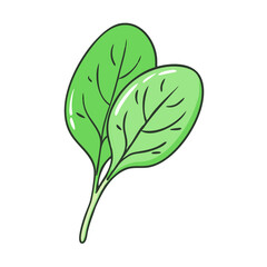 Fresh green spinach leaves, a nutritious and healthy cartoon illustration