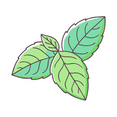 Illustration of fresh basil leaves, aromatic herb used in mediterranean cuisine