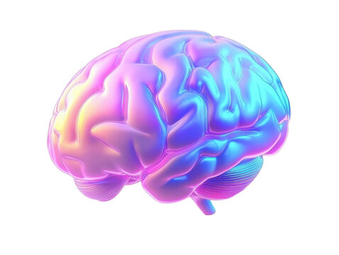 Iridescent 3D Brain Icon in Gradient Colors. Ideal for Representing Knowledge- Intelligence- and Creativity in Digital Art. Isolated on transparent background- png.