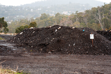 Compost pile, organic thermophilic compost turning in Tasmania Australia