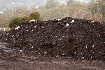Compost pile, organic thermophilic compost turning in Tasmania Australia