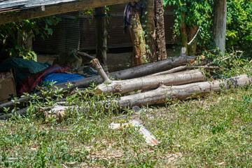 A rustic scene featuring a collection of logs amidst lush greenery, suggesting a natural and untouched environment. The arrangement evokes raw, unrefined beauty and outdoor potential.