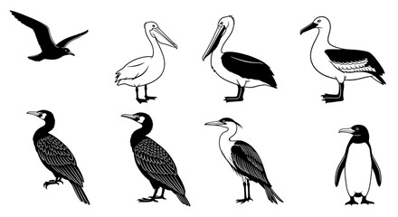 Fototapeta premium Line Art Collection: Assorted Bird Species in Black and White