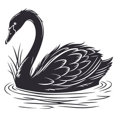 Fototapeta premium black swan vector