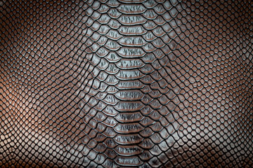 Brown snake skin texture pattern can see the surface details.