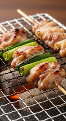  A close up yakitori skewers on a charcoal grill