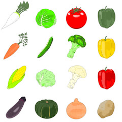 新鮮な野菜セットのイラスト