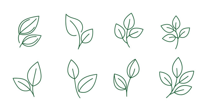 A set of eight minimalist line art illustrations of various leaf arrangements and branch segments.