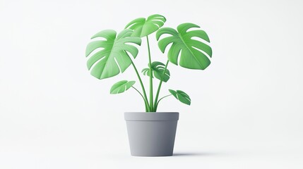 Obraz premium Monstera plant pot by light green wall, indoor decorative greenery scene