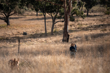 female farmer fencing on a farm reeling a electric fence a farm putting up a steel post fence with high tensile wire in australia women working in agriculture farming