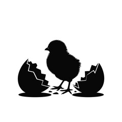 Newly hatched chick emerges from cracked eggshell silhouette © MDANTOR