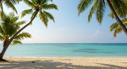 Tropical Beach with Palm Trees and Blue Water