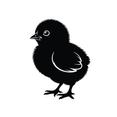 Obraz premium Adorable black chick silhouette illustration