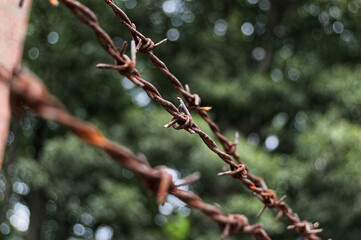 Close-Up Barbed Wire Fence With Rusty Texture Against Blurred Green