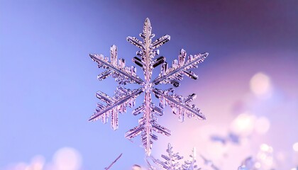 Intricate Lavender-Tinted Snowflake Closeup Against Soft Blurred Background