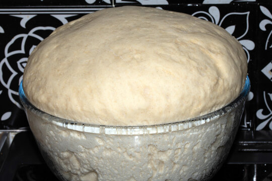 Close up of pizza bread dough that has risen over the glass bowl uncooked