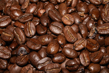 Close up of dark roasted coffee beans deep brown and tasty close up