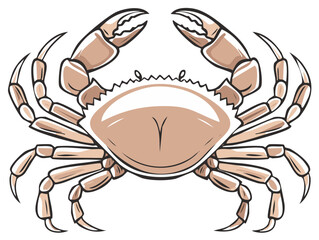 Fototapeta premium Stylized marine crab with raised claws isolated cartoon illustration