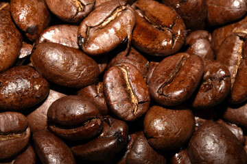 Close up of dark roasted coffee beans deep brown and tasty close up