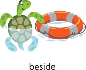 Preposition of place. Turtle BESIDE the lifebuoy