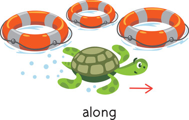 Preposition. Turtle swims ALONG the lifebuoys