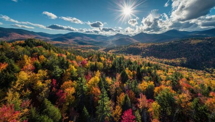 Obraz premium FALL SEASON